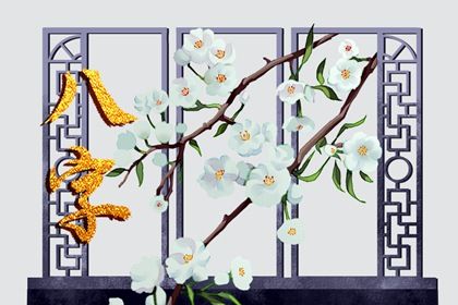 排盘软件里的藏干字段